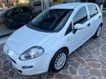 usato FIAT Punto