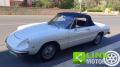 usato ALFA ROMEO Spider