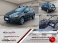 usato FIAT Punto Evo