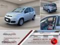 usato FIAT Panda