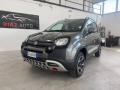 usato FIAT Panda Cross