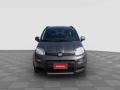 usato FIAT Panda