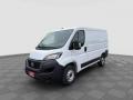 usato FIAT Ducato
