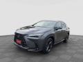 usato LEXUS NX 450h
