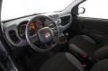 usato FIAT New Panda