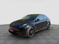 usato TESLA Model Y