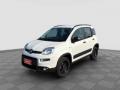usato FIAT Panda
