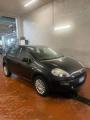 usato FIAT Punto Evo