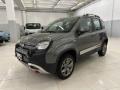 usato FIAT Panda Cross
