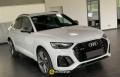 usato AUDI SQ5