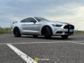 usato FORD Mustang