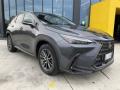 usato LEXUS NX 300