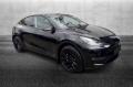 usato TESLA Model Y