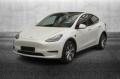 usato TESLA Model Y