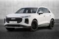 Km 0 AUDI Q3