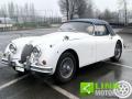 usato JAGUAR XK
