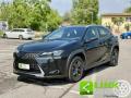 usato LEXUS UX 250h