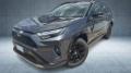 usato TOYOTA RAV 4 MY23
