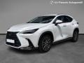 usato LEXUS NX 350h