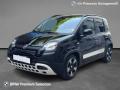 usato FIAT Panda Cross