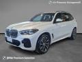 usato BMW X5