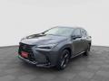 usato LEXUS NX 450h