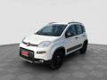 usato FIAT Panda