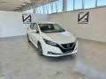 usato NISSAN Leaf