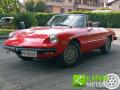 usato ALFA ROMEO Spider