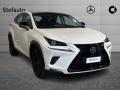 usato LEXUS NX 300