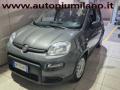 usato FIAT Panda