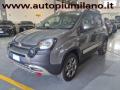 usato FIAT Panda Cross
