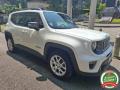 usato JEEP Renegade