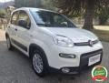 usato FIAT Panda