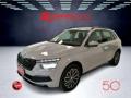 usato SKODA Kamiq