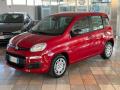 Km 0 FIAT Panda