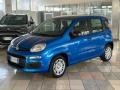 Km 0 FIAT Panda
