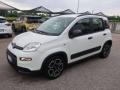 usato FIAT Panda