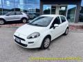 usato FIAT Punto