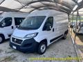 usato FIAT Ducato