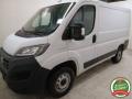 usato FIAT Ducato