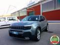 usato JEEP Avenger