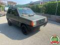 usato FIAT Panda