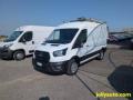 usato FORD Transit