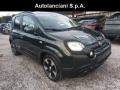 usato FIAT New Panda
