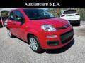 usato FIAT New Panda