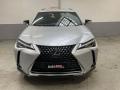 usato LEXUS UX 250h