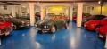 usato ALFA ROMEO GT