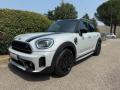 usato MINI Countryman