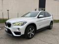 usato BMW X1